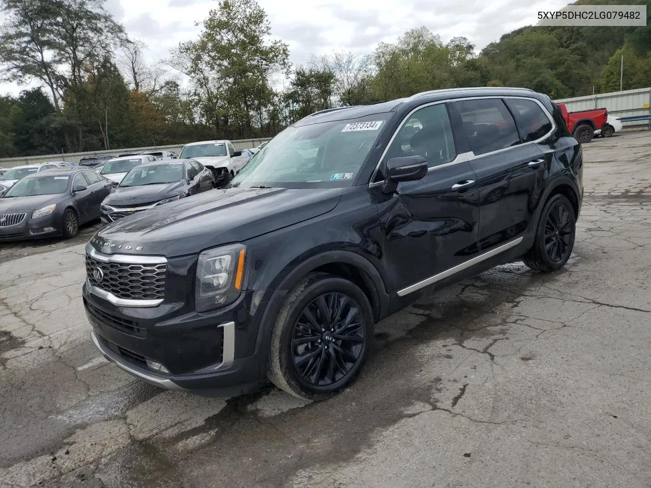 2020 Kia Telluride Sx VIN: 5XYP5DHC2LG079482 Lot: 72373134