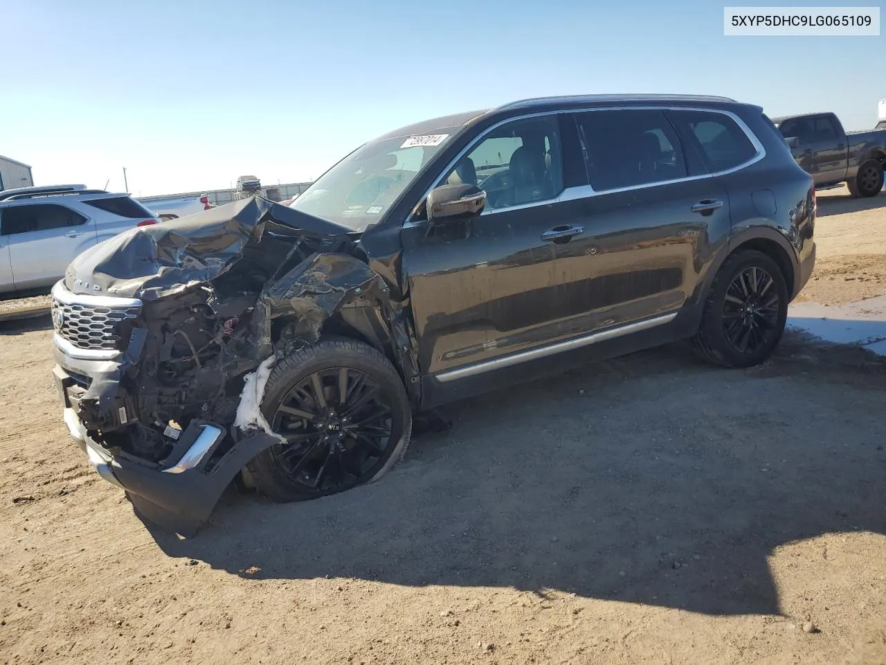 2020 Kia Telluride Sx VIN: 5XYP5DHC9LG065109 Lot: 72997014