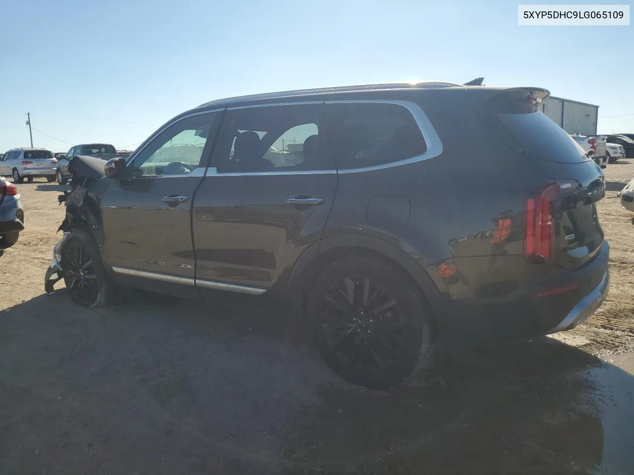 2020 Kia Telluride Sx VIN: 5XYP5DHC9LG065109 Lot: 72997014