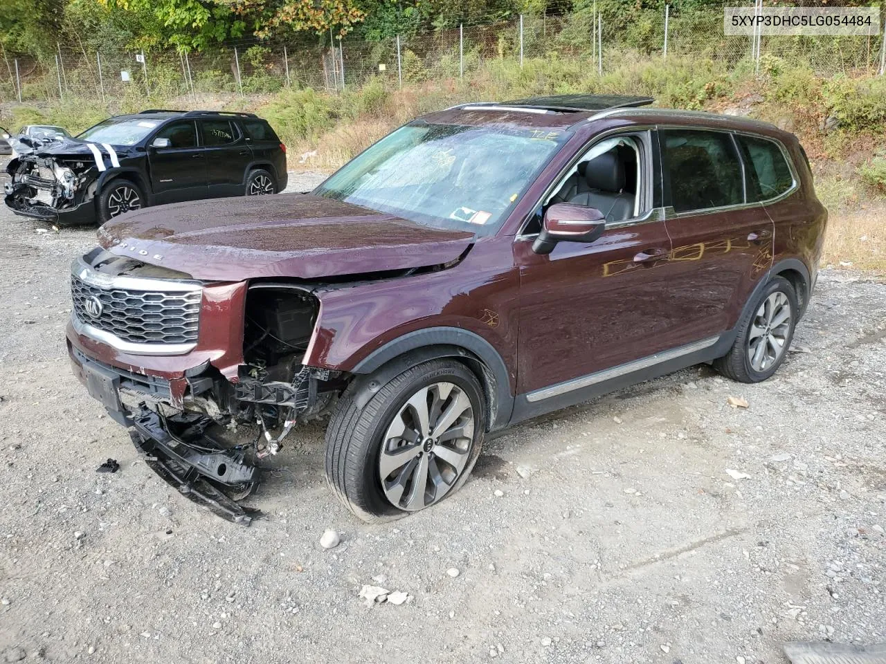 2020 Kia Telluride Ex VIN: 5XYP3DHC5LG054484 Lot: 73298744