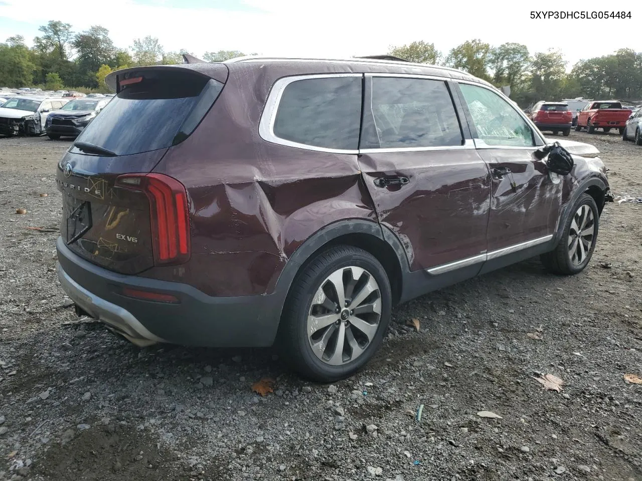 2020 Kia Telluride Ex VIN: 5XYP3DHC5LG054484 Lot: 73298744