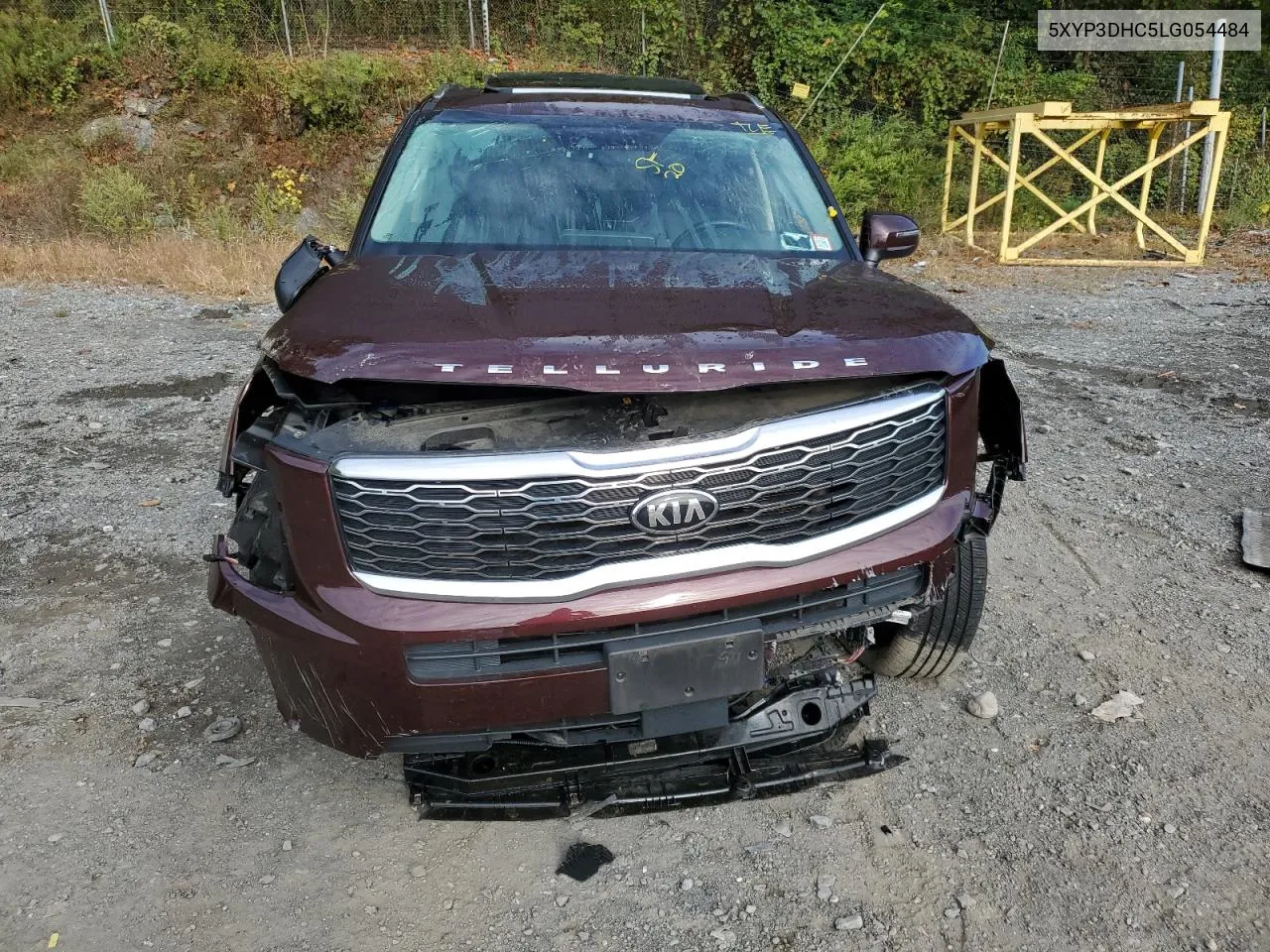 2020 Kia Telluride Ex VIN: 5XYP3DHC5LG054484 Lot: 73298744