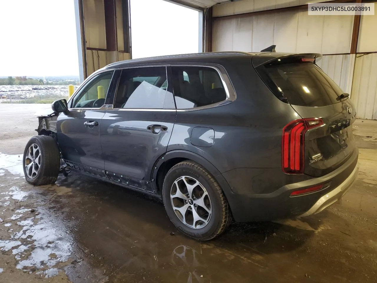 2020 Kia Telluride Ex VIN: 5XYP3DHC5LG003891 Lot: 73727314