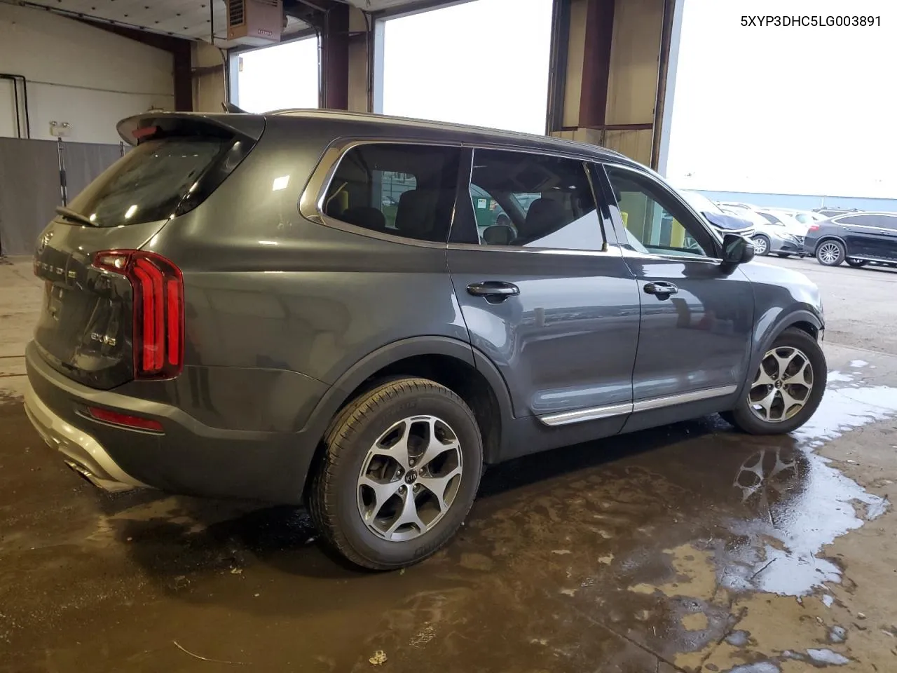 2020 Kia Telluride Ex VIN: 5XYP3DHC5LG003891 Lot: 73727314