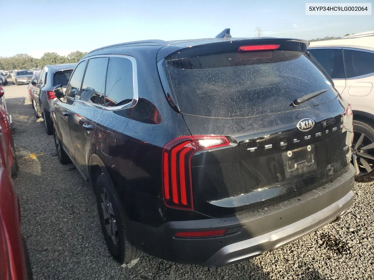 2020 Kia Telluride Ex VIN: 5XYP34HC9LG002064 Lot: 74027294