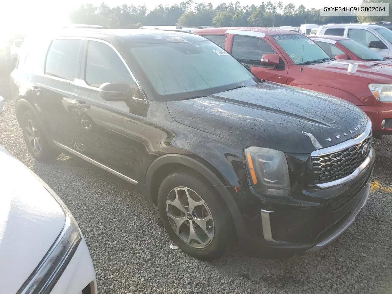 2020 Kia Telluride Ex VIN: 5XYP34HC9LG002064 Lot: 74027294