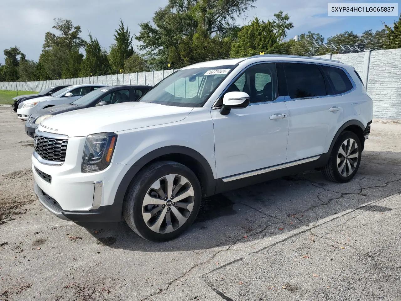 2020 Kia Telluride Ex VIN: 5XYP34HC1LG065837 Lot: 76779024