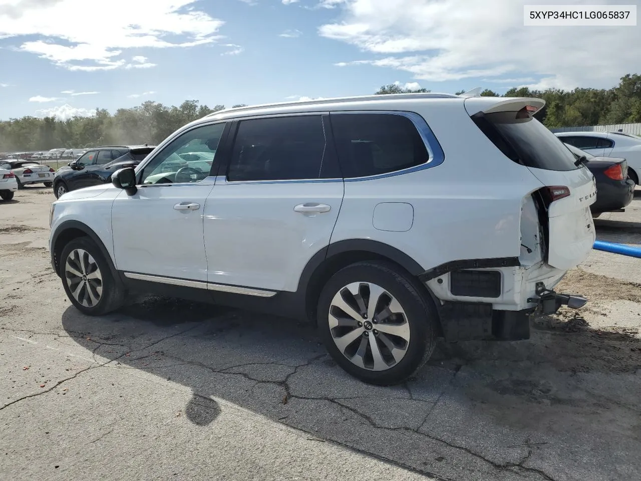 2020 Kia Telluride Ex VIN: 5XYP34HC1LG065837 Lot: 76779024