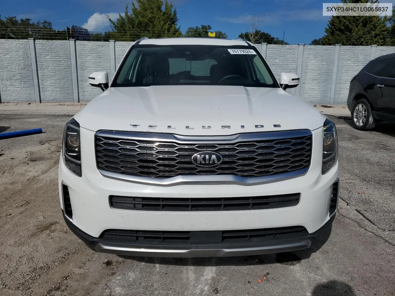 2020 Kia Telluride Ex VIN: 5XYP34HC1LG065837 Lot: 76779024