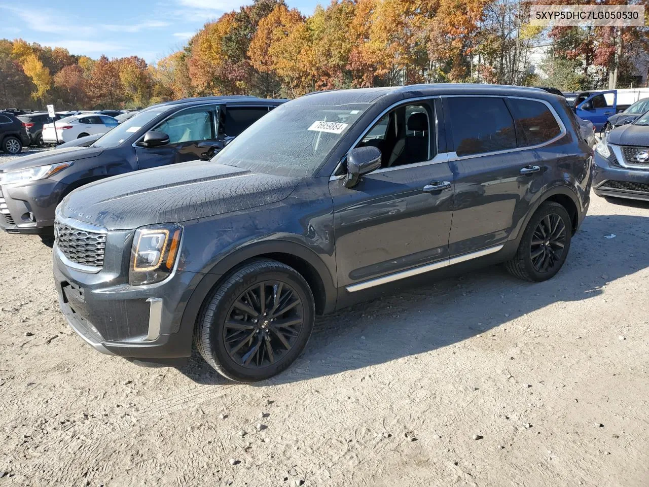 2020 Kia Telluride Sx VIN: 5XYP5DHC7LG050530 Lot: 76959884