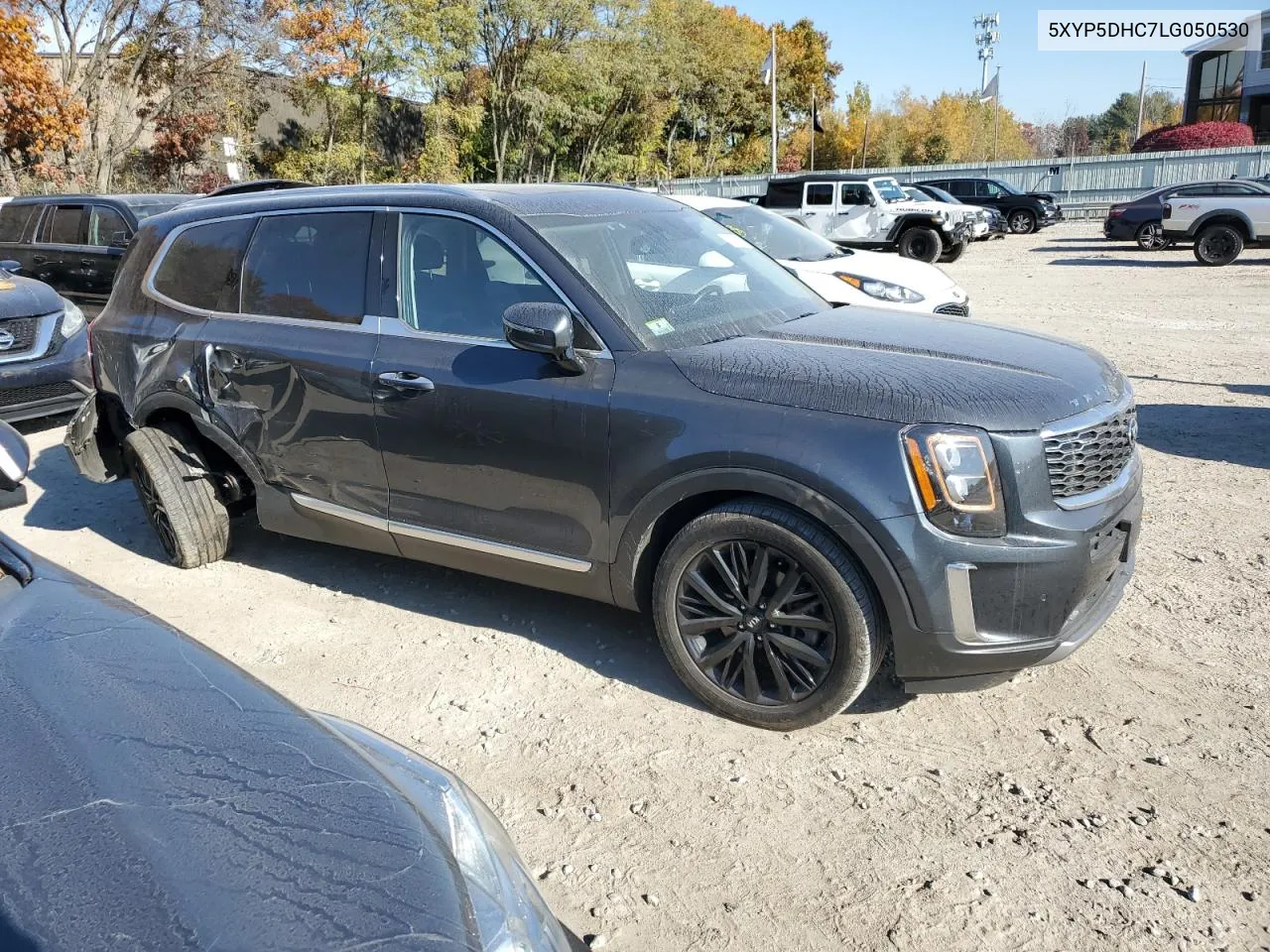 2020 Kia Telluride Sx VIN: 5XYP5DHC7LG050530 Lot: 76959884