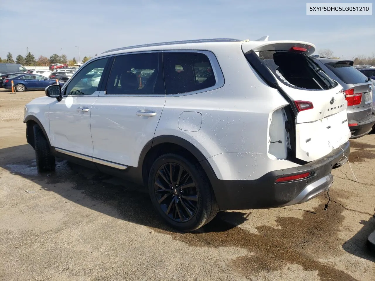 2020 Kia Telluride Sx VIN: 5XYP5DHC5LG051210 Lot: 77431434