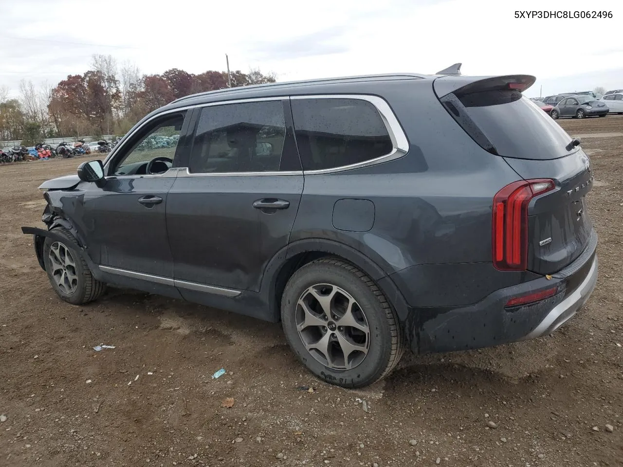 2020 Kia Telluride Ex VIN: 5XYP3DHC8LG062496 Lot: 77487144