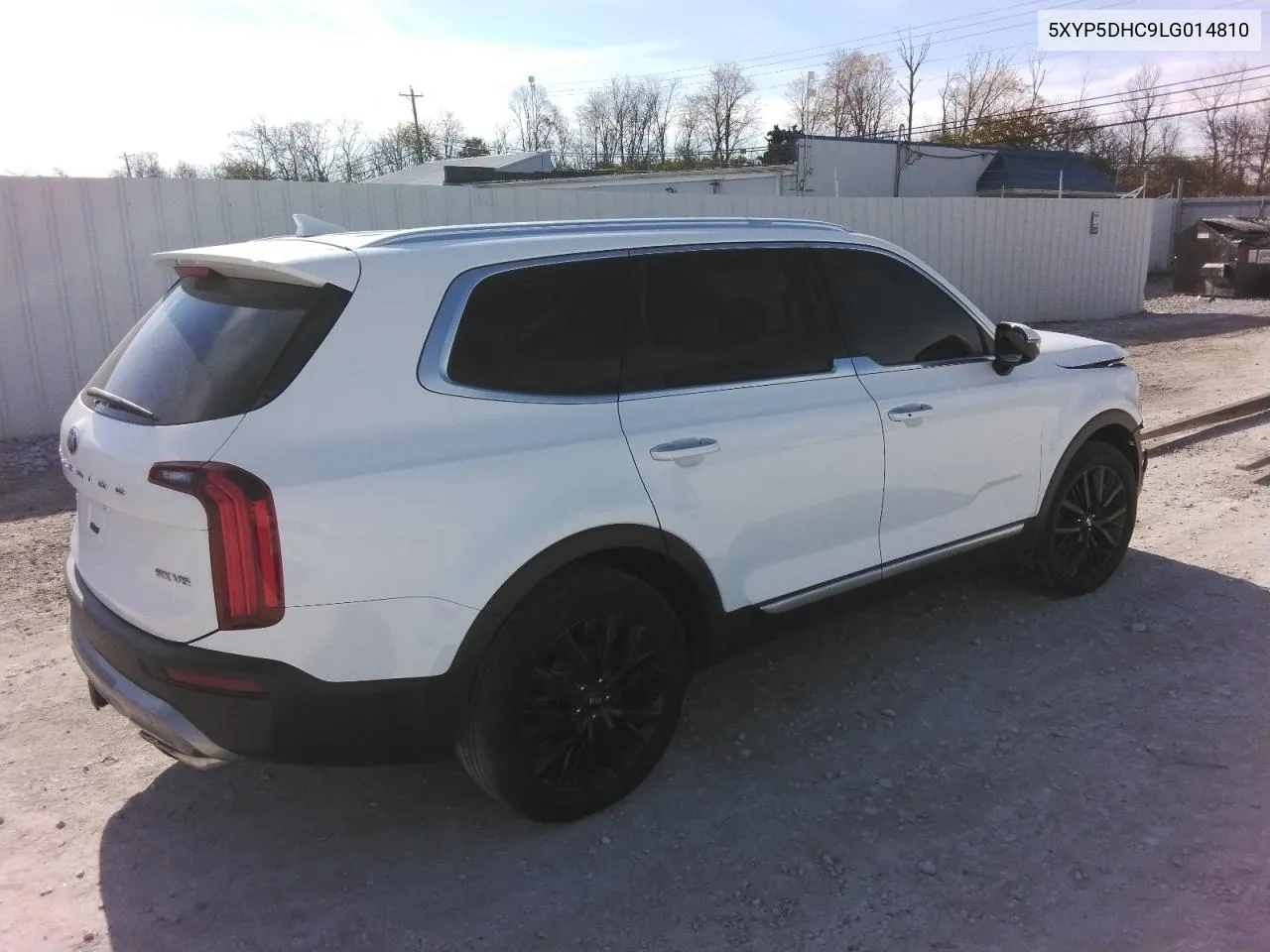 2020 Kia Telluride Sx VIN: 5XYP5DHC9LG014810 Lot: 78212964