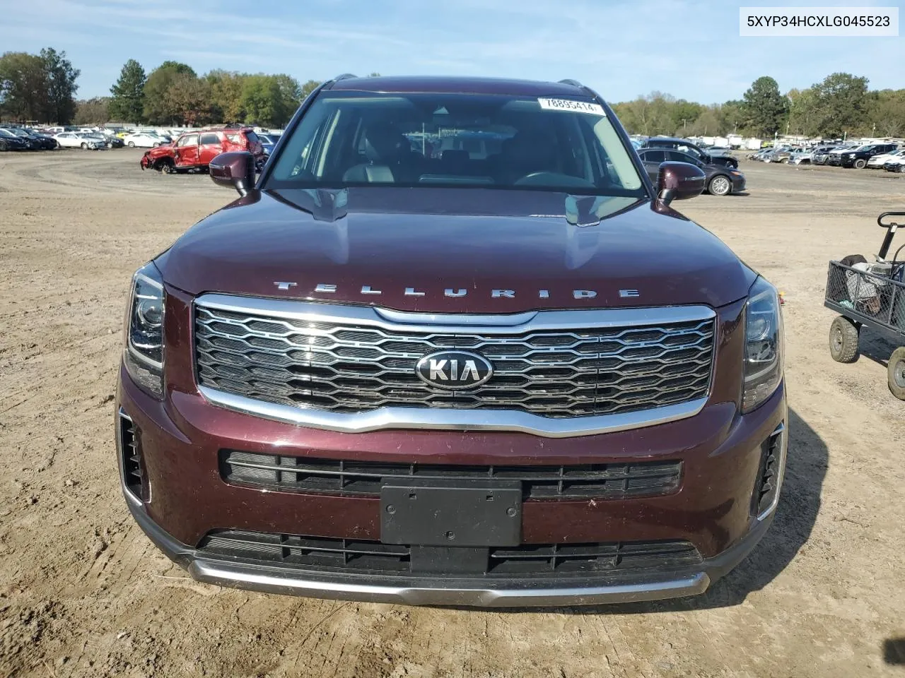 2020 Kia Telluride Ex VIN: 5XYP34HCXLG045523 Lot: 78895414