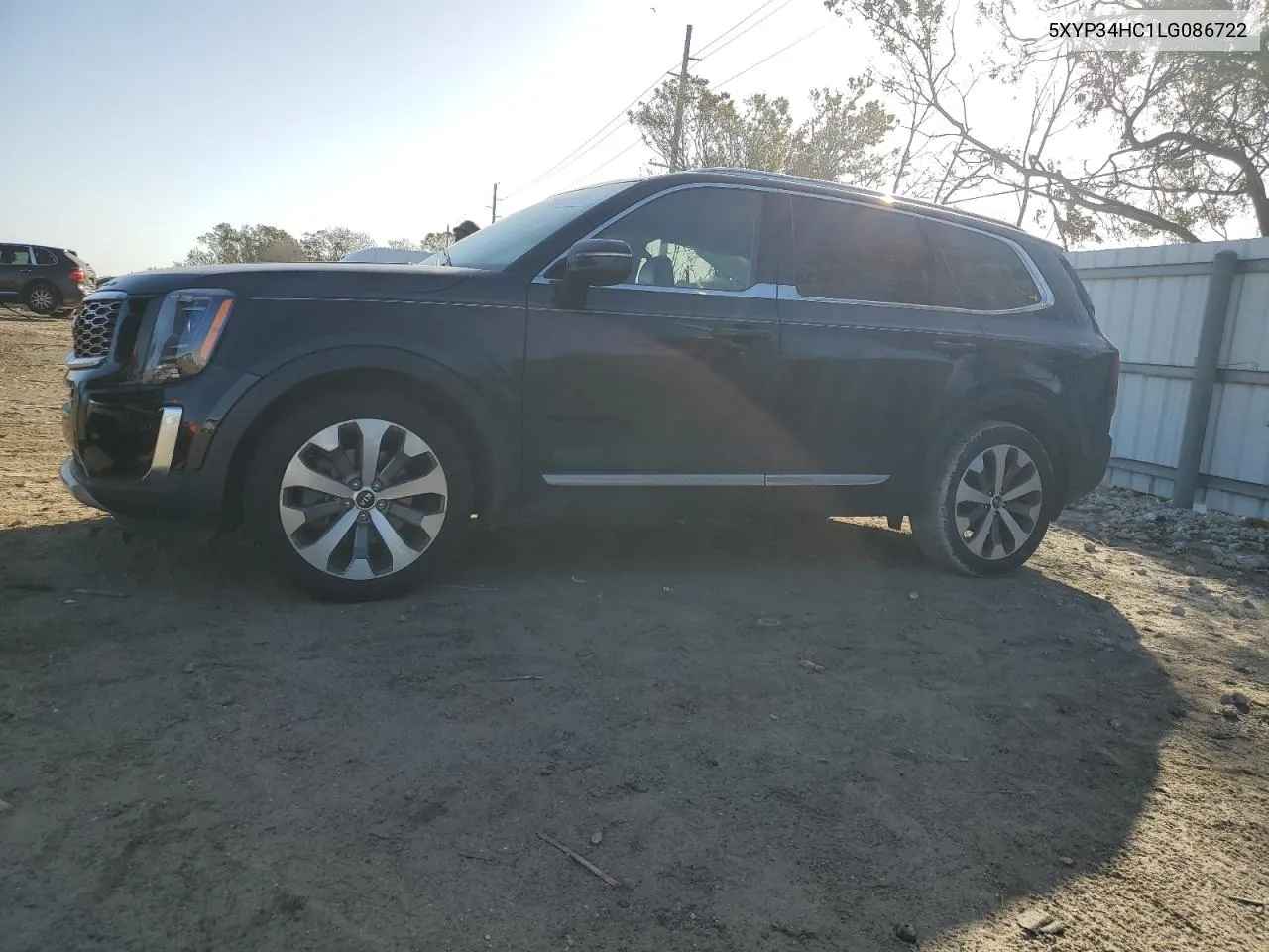 2020 Kia Telluride Ex VIN: 5XYP34HC1LG086722 Lot: 79031154