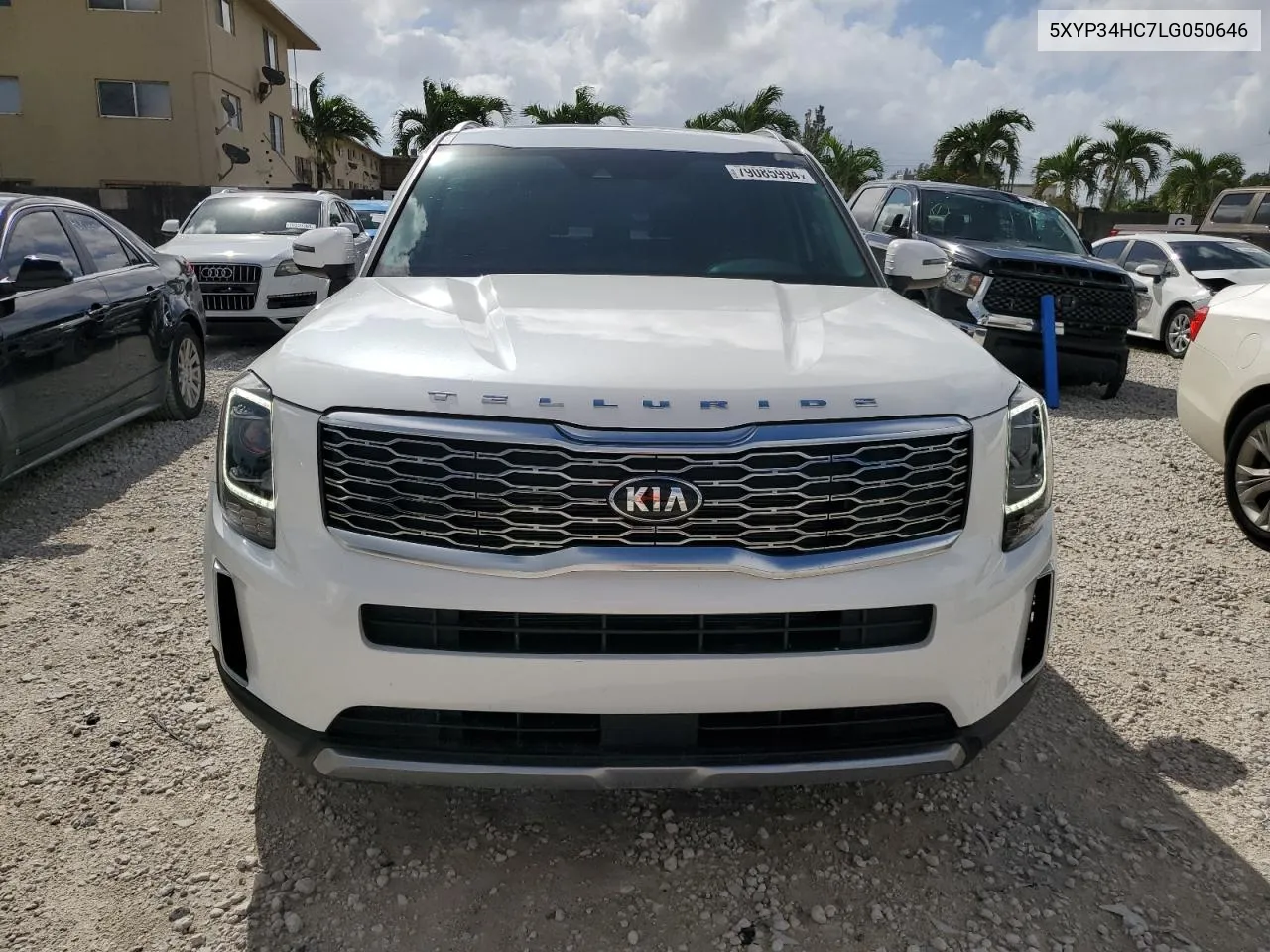 2020 Kia Telluride Ex VIN: 5XYP34HC7LG050646 Lot: 79085994