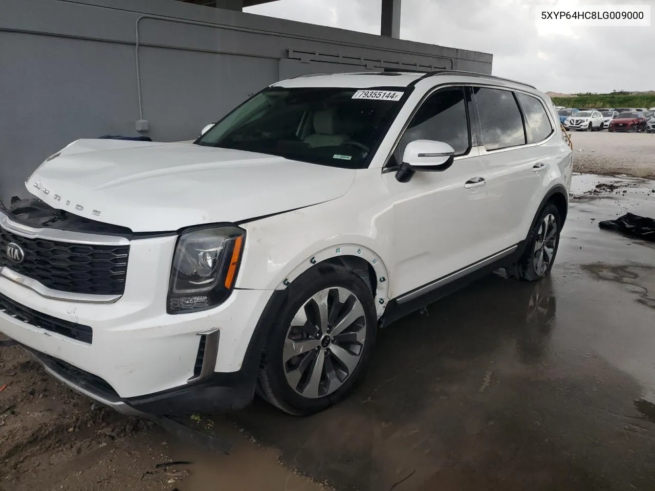 2020 Kia Telluride S VIN: 5XYP64HC8LG009000 Lot: 79355144