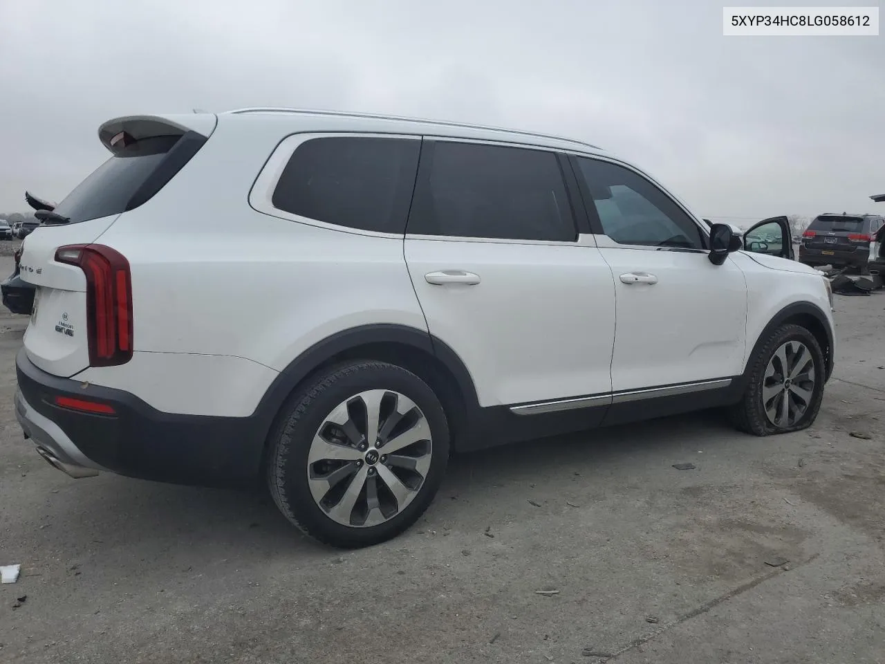 2020 Kia Telluride Ex VIN: 5XYP34HC8LG058612 Lot: 79750324