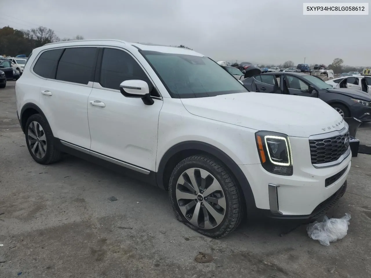 2020 Kia Telluride Ex VIN: 5XYP34HC8LG058612 Lot: 79750324