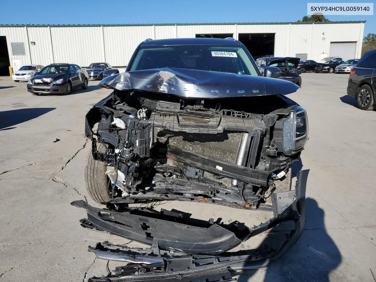 2020 Kia Telluride Ex VIN: 5XYP34HC9LG059140 Lot: 80304704