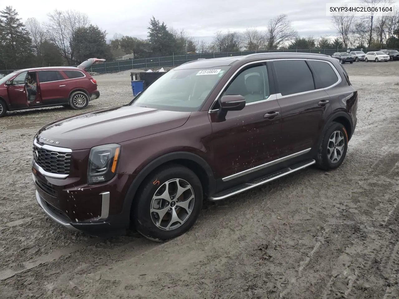 2020 Kia Telluride Ex VIN: 5XYP34HC2LG061604 Lot: 81510804