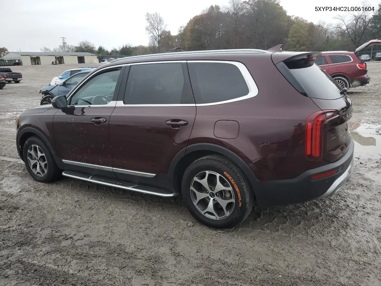 2020 Kia Telluride Ex VIN: 5XYP34HC2LG061604 Lot: 81510804