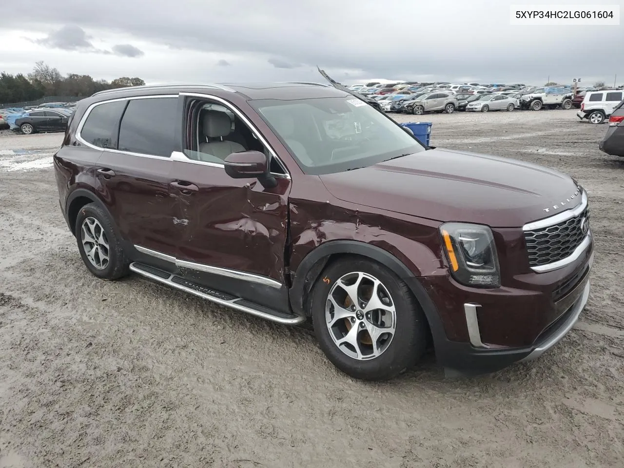 2020 Kia Telluride Ex VIN: 5XYP34HC2LG061604 Lot: 81510804