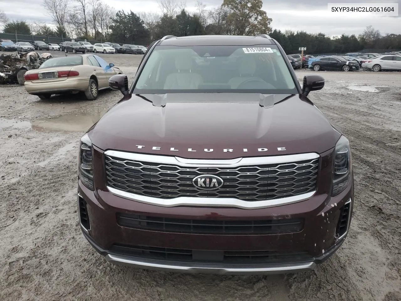 2020 Kia Telluride Ex VIN: 5XYP34HC2LG061604 Lot: 81510804