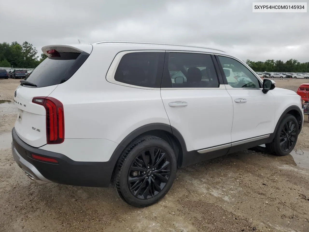 2021 Kia Telluride Sx VIN: 5XYP54HC0MG145934 Lot: 52687014