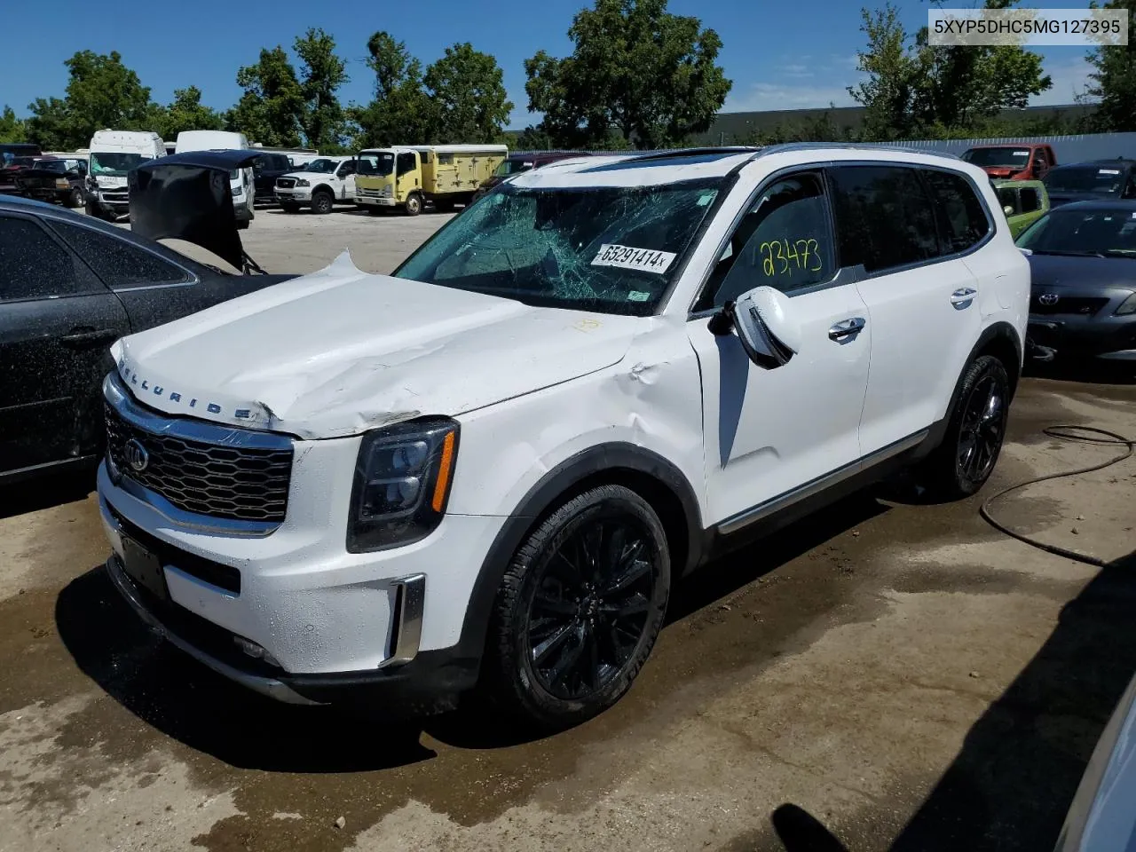 2021 Kia Telluride Sx VIN: 5XYP5DHC5MG127395 Lot: 65291414