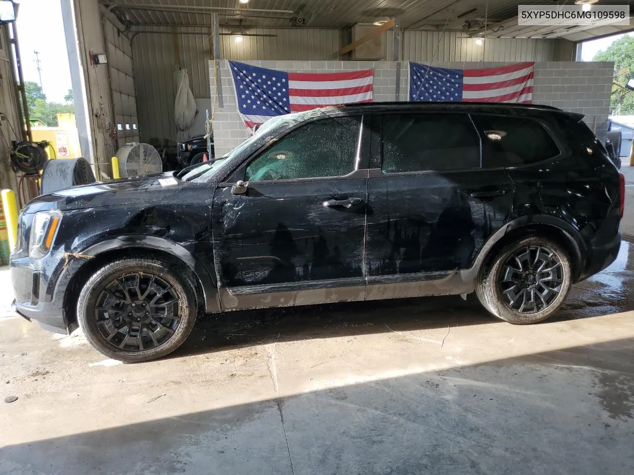 2021 Kia Telluride Sx VIN: 5XYP5DHC6MG109598 Lot: 65834664