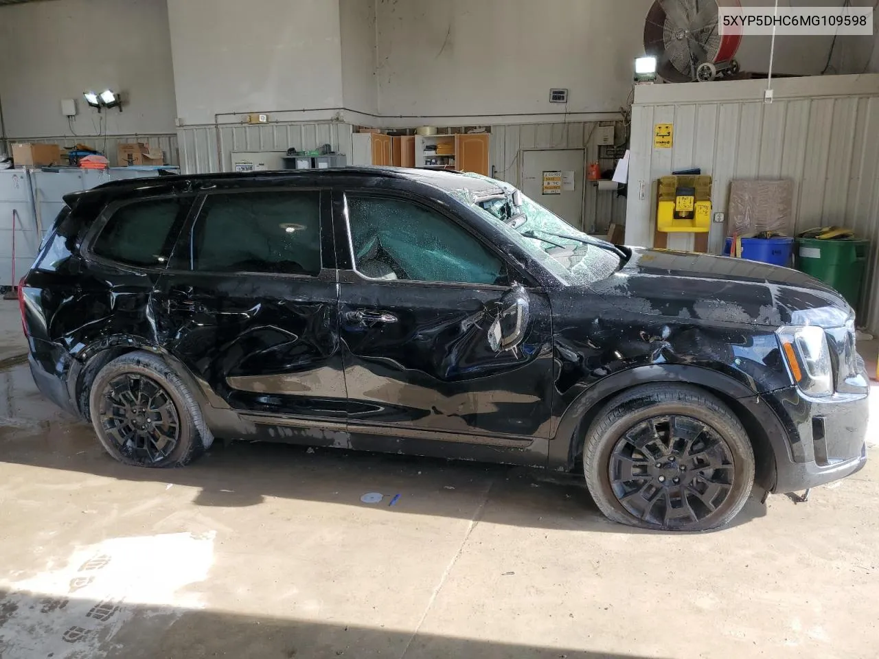 2021 Kia Telluride Sx VIN: 5XYP5DHC6MG109598 Lot: 65834664