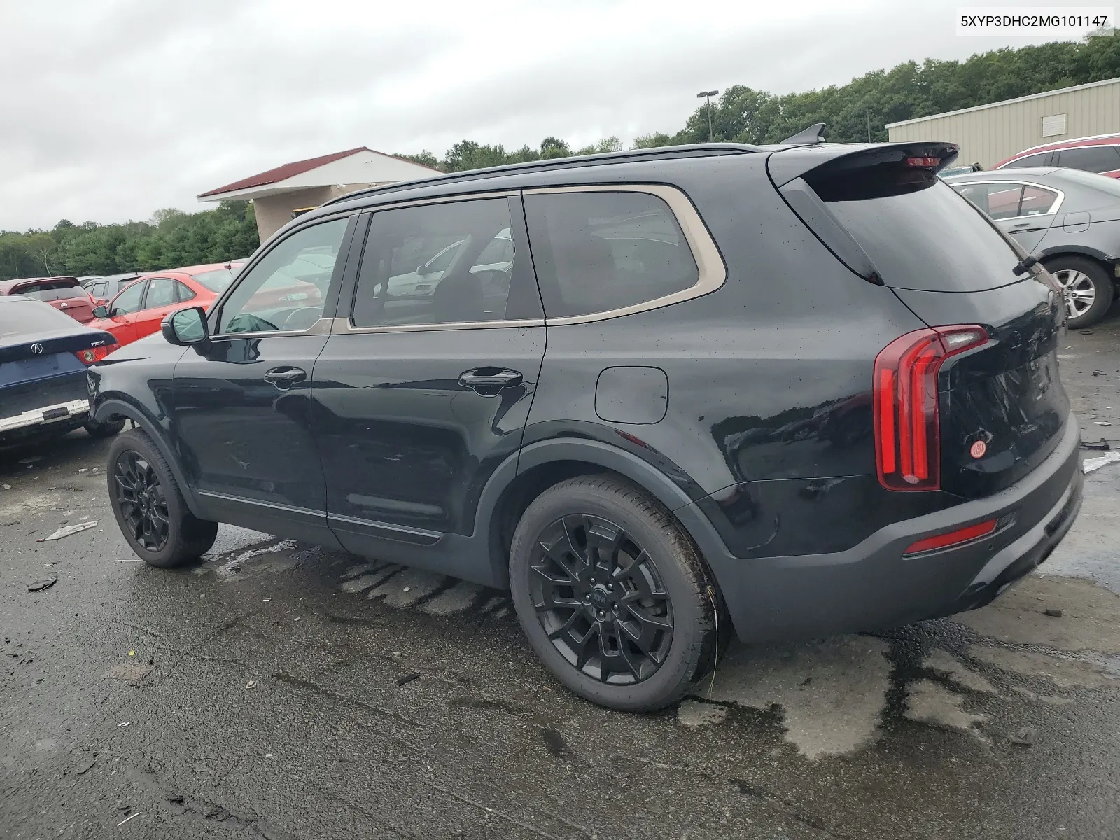 2021 Kia Telluride Ex VIN: 5XYP3DHC2MG101147 Lot: 66143764