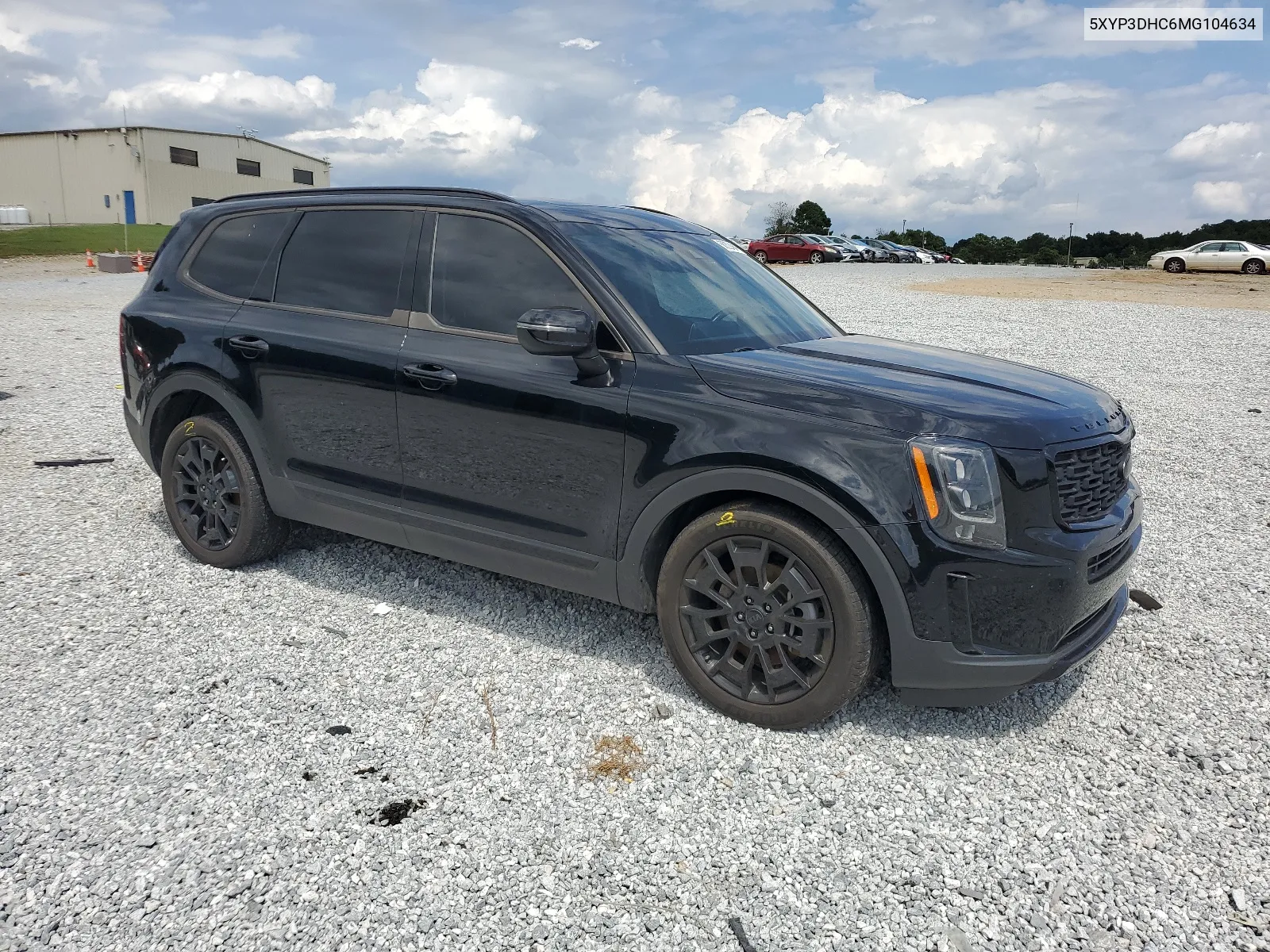 2021 Kia Telluride Ex VIN: 5XYP3DHC6MG104634 Lot: 66203464