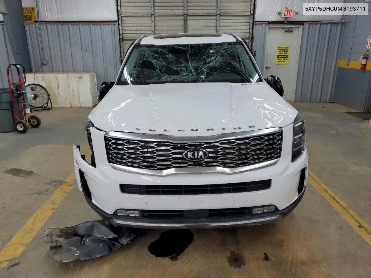 2021 Kia Telluride Sx VIN: 5XYP5DHC0MG193711 Lot: 66742644