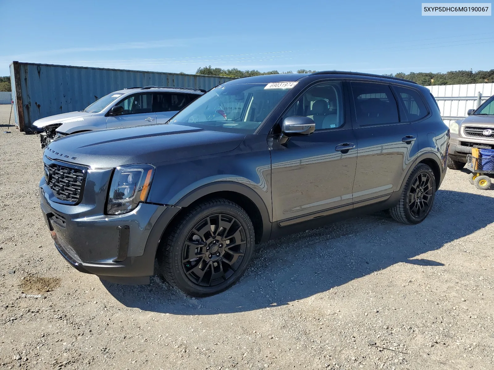 2021 Kia Telluride Sx VIN: 5XYP5DHC6MG190067 Lot: 69031974