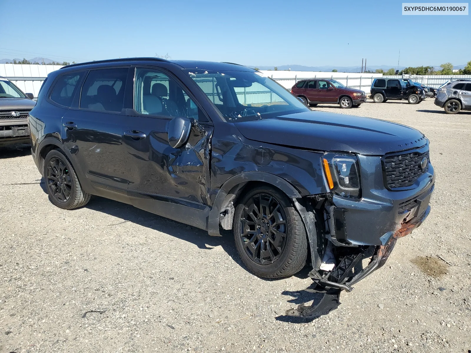 2021 Kia Telluride Sx VIN: 5XYP5DHC6MG190067 Lot: 69031974