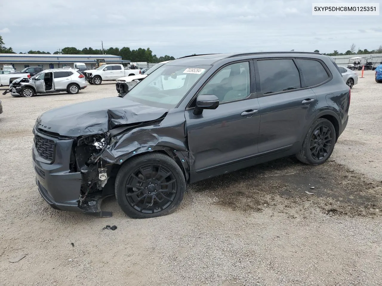 2021 Kia Telluride Sx VIN: 5XYP5DHC8MG125351 Lot: 70395284