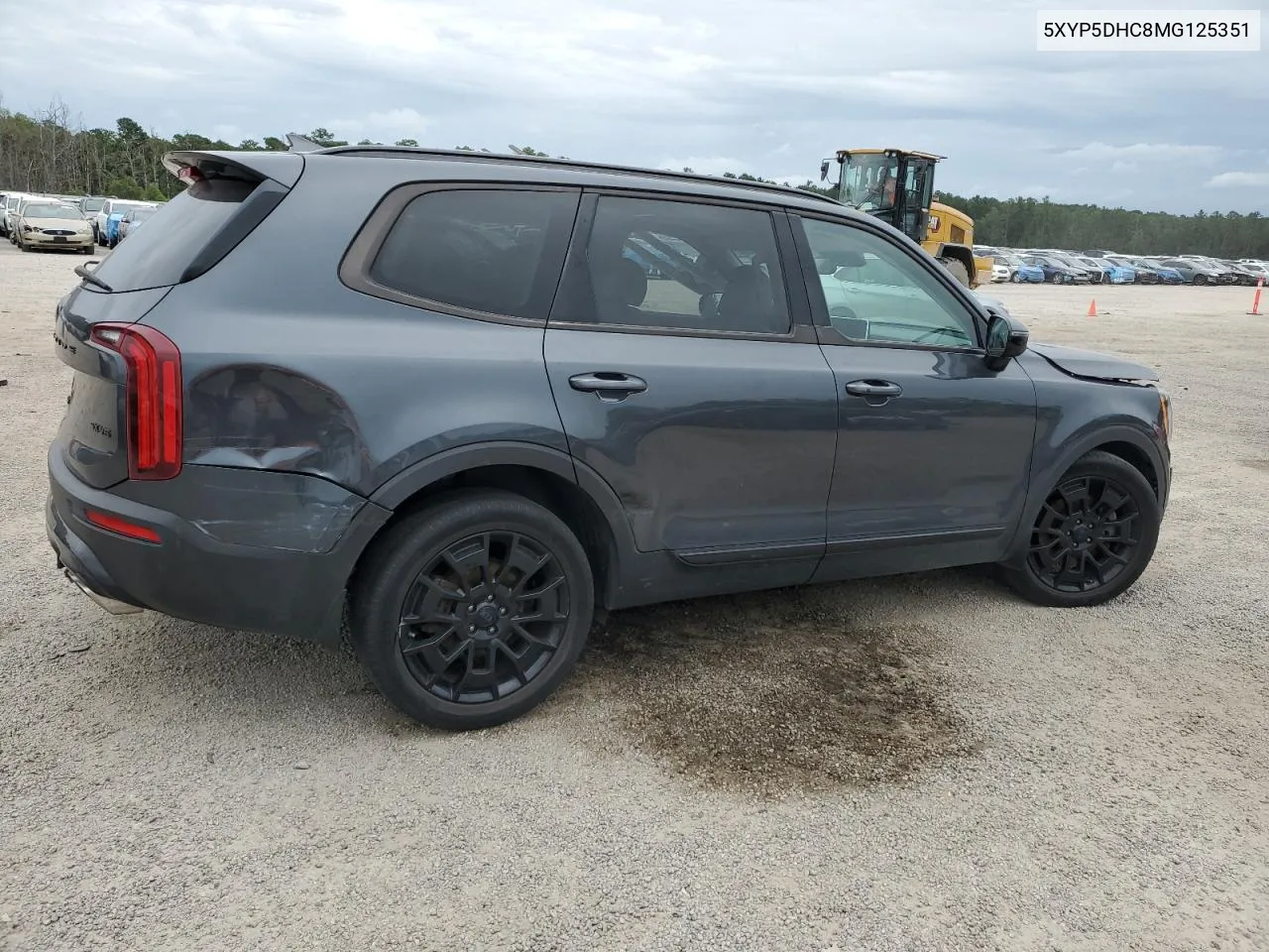 2021 Kia Telluride Sx VIN: 5XYP5DHC8MG125351 Lot: 70395284