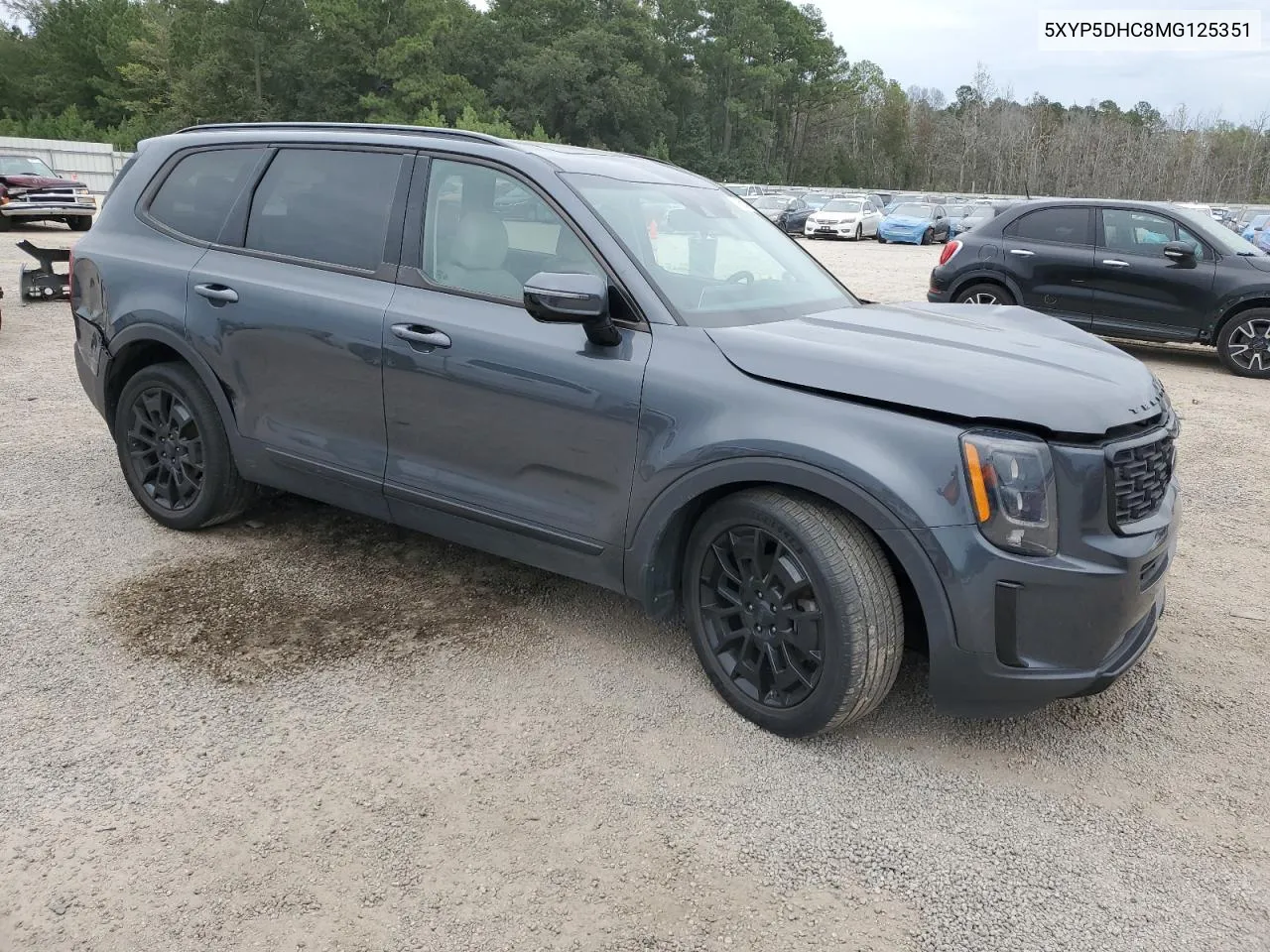 2021 Kia Telluride Sx VIN: 5XYP5DHC8MG125351 Lot: 70395284