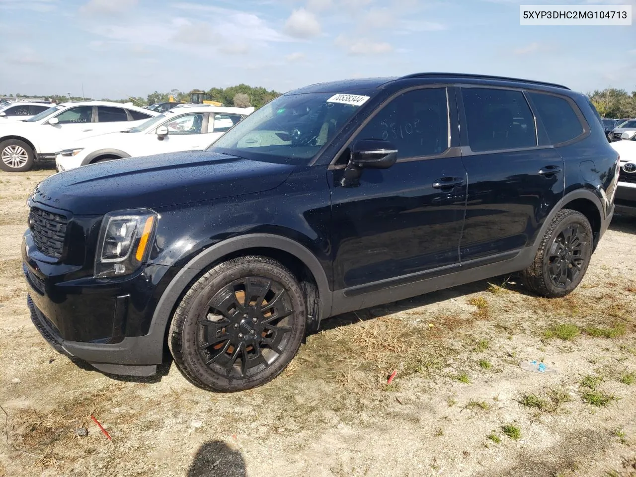 2021 Kia Telluride Ex VIN: 5XYP3DHC2MG104713 Lot: 70538344