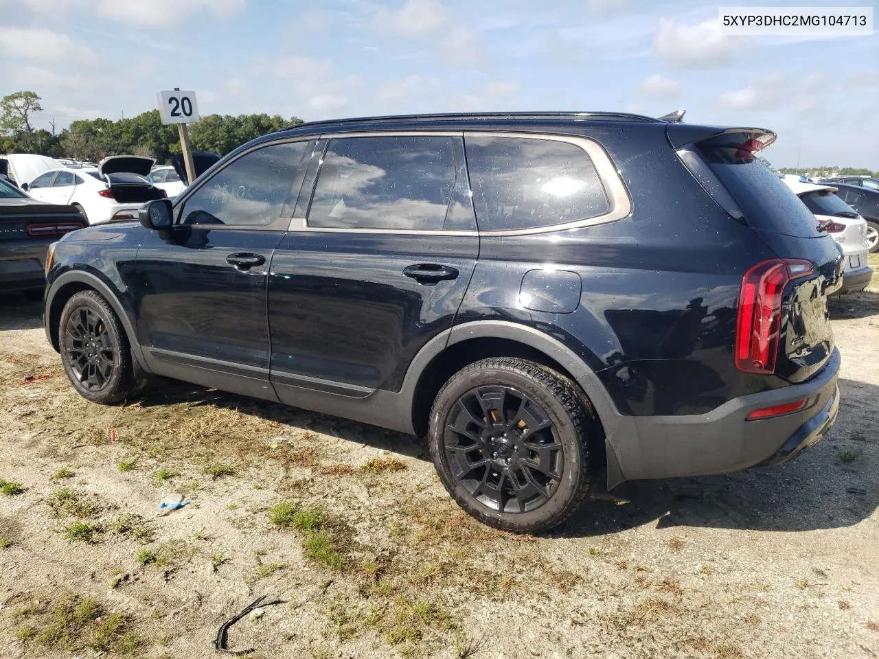 2021 Kia Telluride Ex VIN: 5XYP3DHC2MG104713 Lot: 70538344