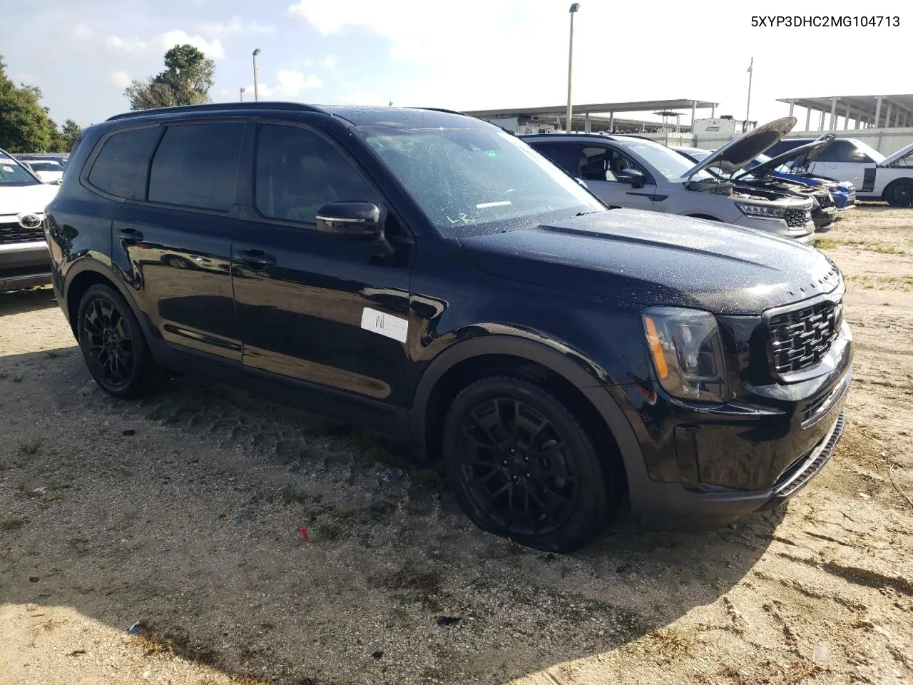 2021 Kia Telluride Ex VIN: 5XYP3DHC2MG104713 Lot: 70538344