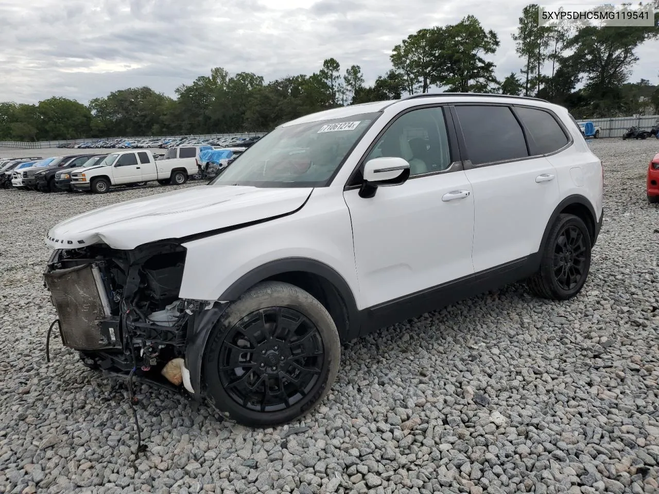 2021 Kia Telluride Sx VIN: 5XYP5DHC5MG119541 Lot: 71061274