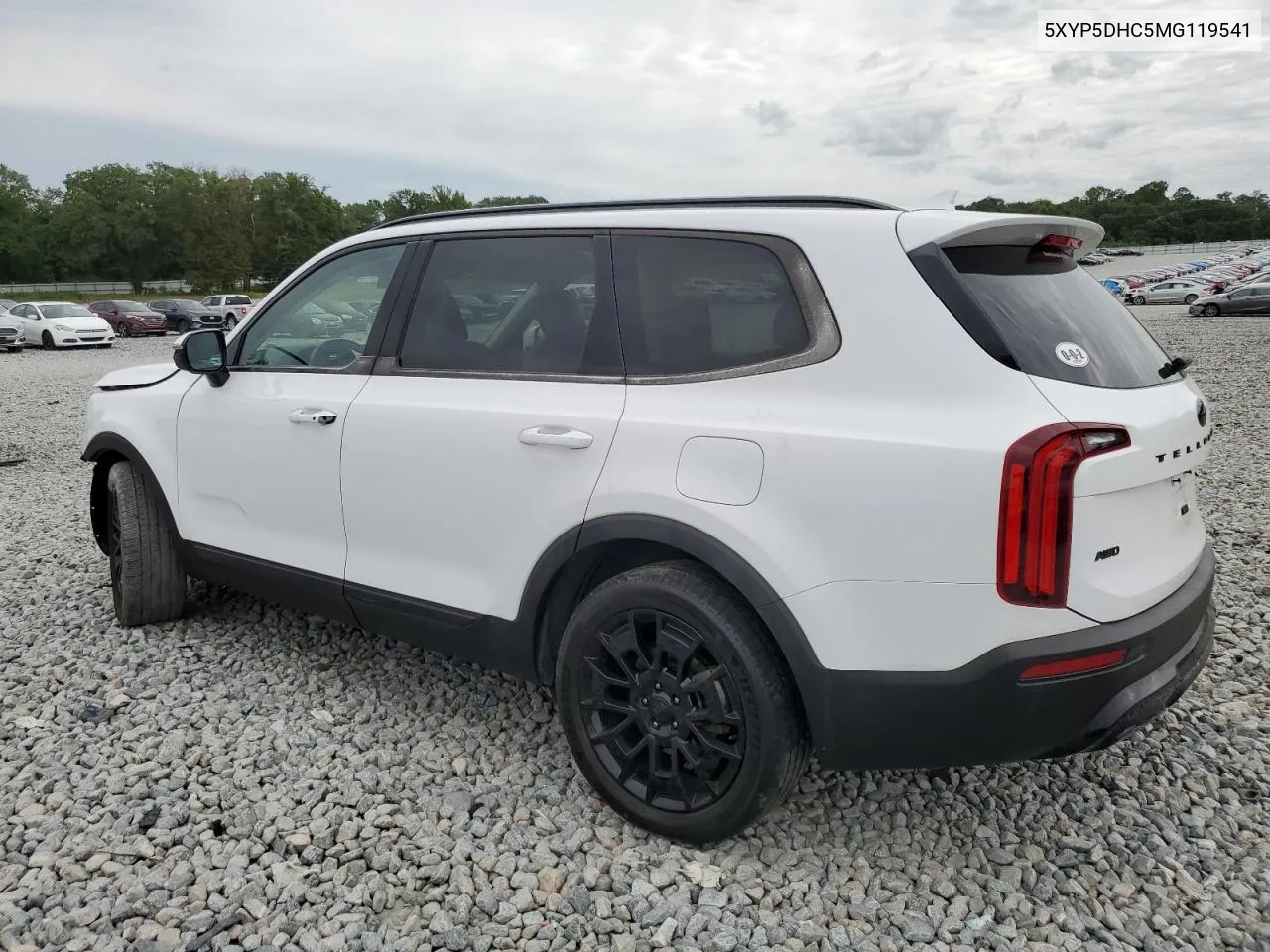 2021 Kia Telluride Sx VIN: 5XYP5DHC5MG119541 Lot: 71061274