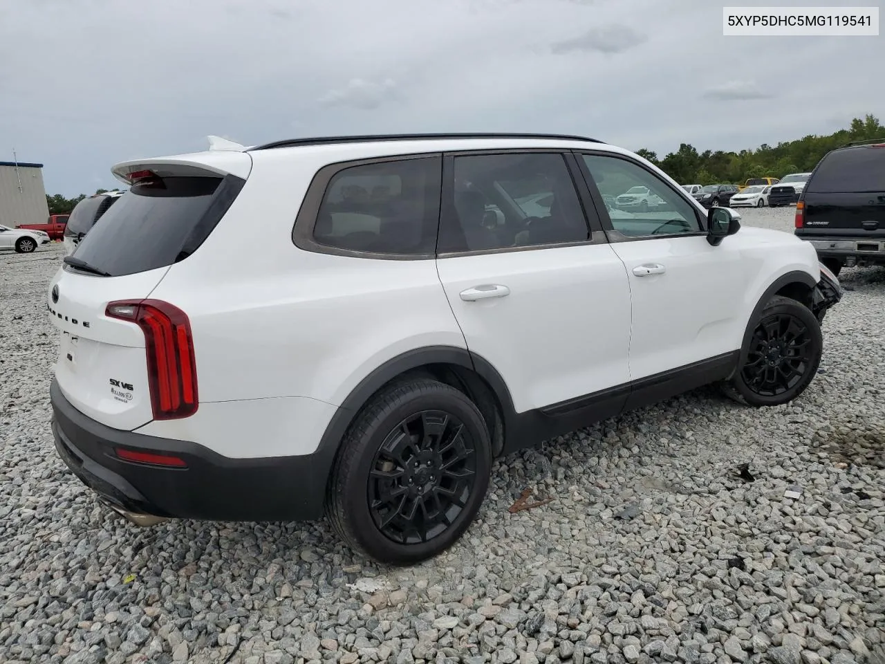 2021 Kia Telluride Sx VIN: 5XYP5DHC5MG119541 Lot: 71061274