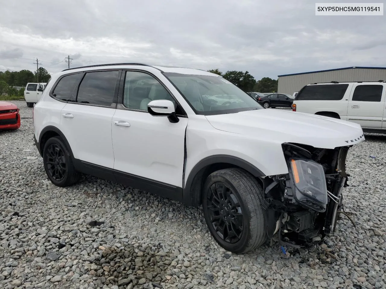 2021 Kia Telluride Sx VIN: 5XYP5DHC5MG119541 Lot: 71061274