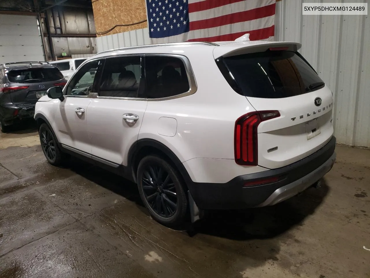 2021 Kia Telluride Sx VIN: 5XYP5DHCXMG124489 Lot: 72481054