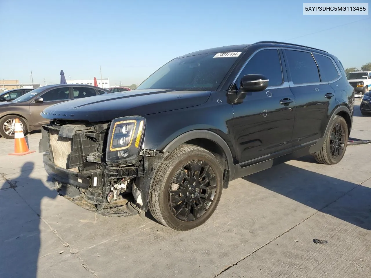 2021 Kia Telluride Ex VIN: 5XYP3DHC5MG113485 Lot: 73217414